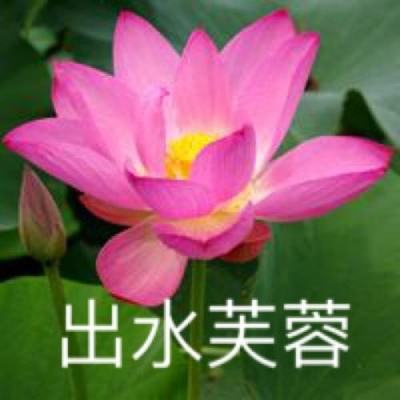 飞剑情缘手游