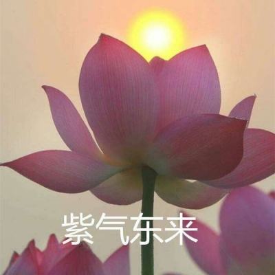 梦幻西游步步高版下载